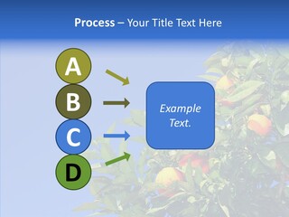 Season Farming Acid PowerPoint Template