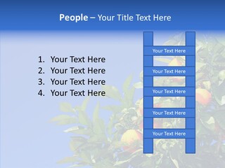 Season Farming Acid PowerPoint Template