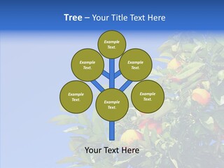 Season Farming Acid PowerPoint Template