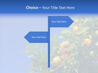 Season Farming Acid PowerPoint Template