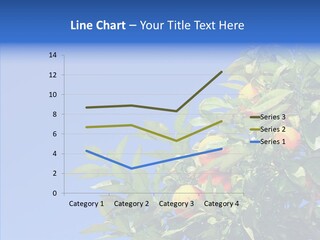 Season Farming Acid PowerPoint Template