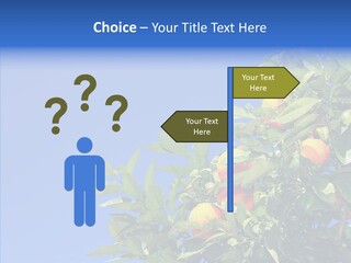 Season Farming Acid PowerPoint Template