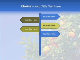 Season Farming Acid PowerPoint Template