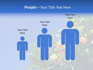 Season Farming Acid PowerPoint Template