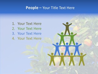 Season Farming Acid PowerPoint Template