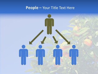 Season Farming Acid PowerPoint Template