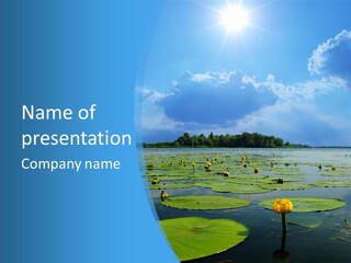 Bud Aquatic Seasonal PowerPoint Template