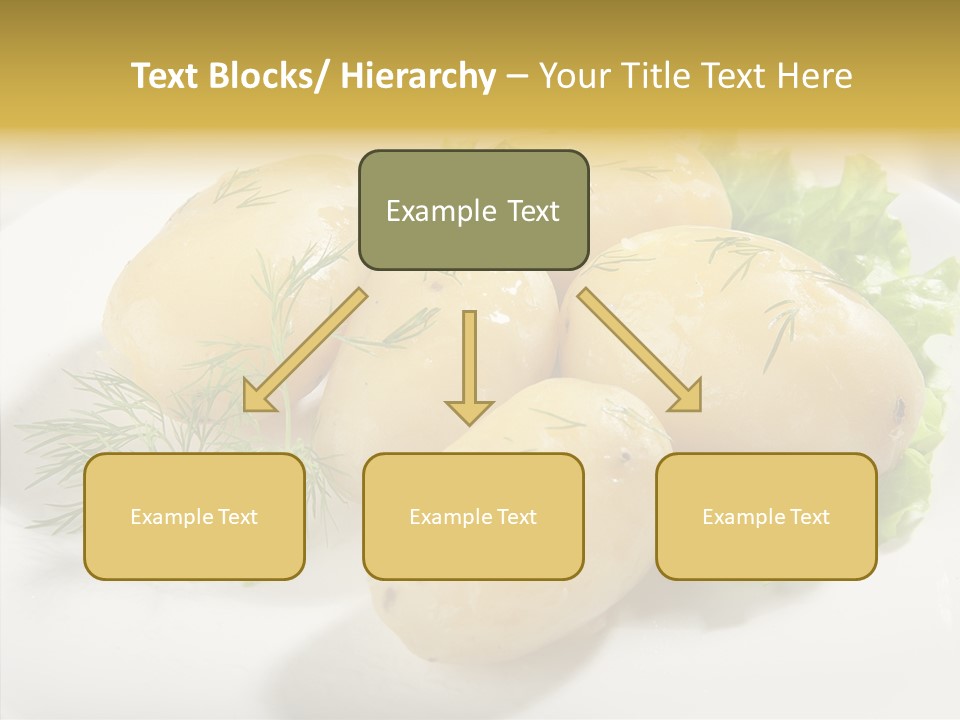 Plate Potato Boiled PowerPoint Template
