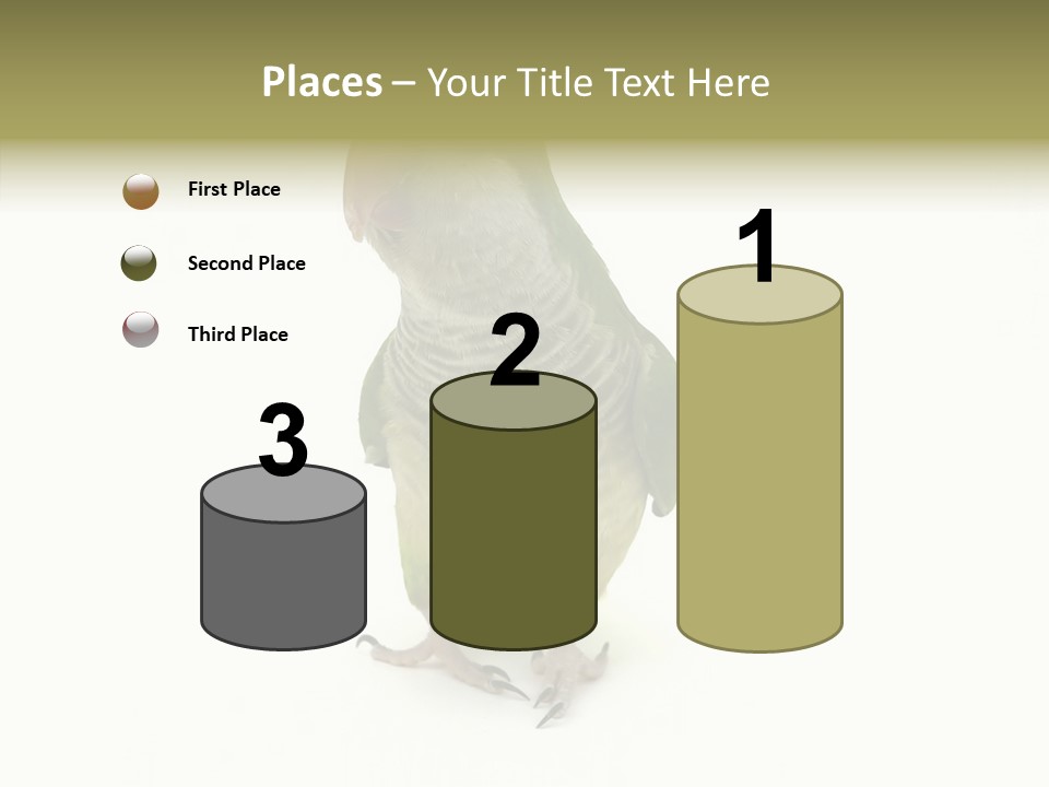 Animal Bird Green PowerPoint Template