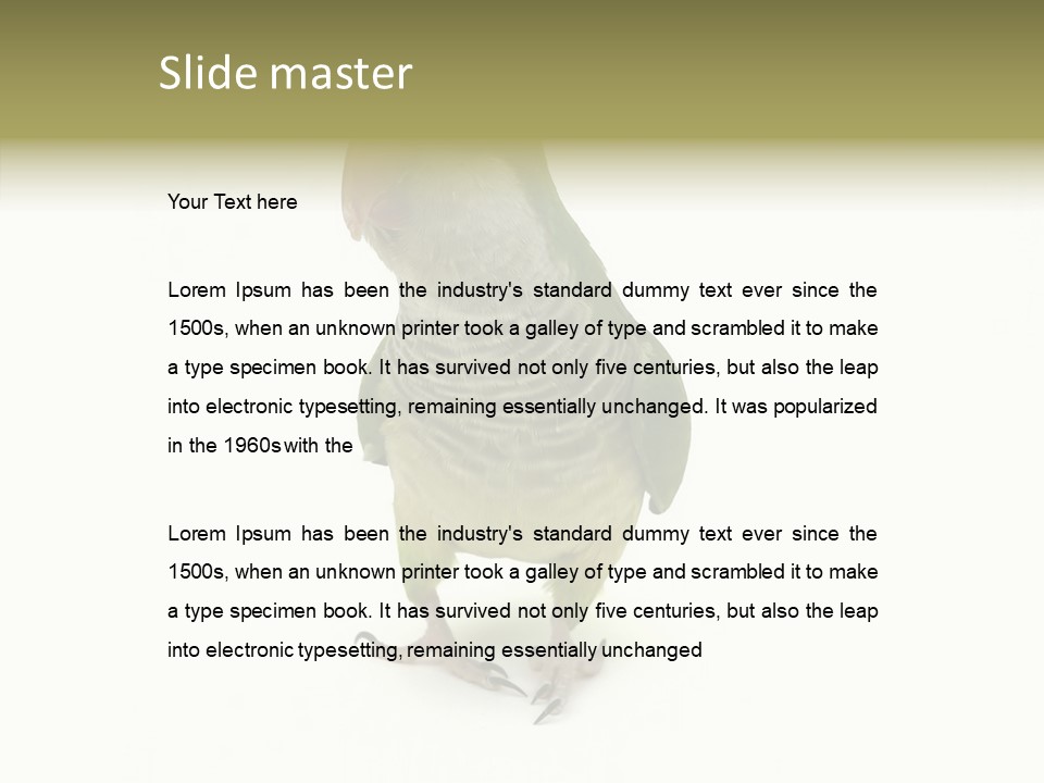 Animal Bird Green PowerPoint Template