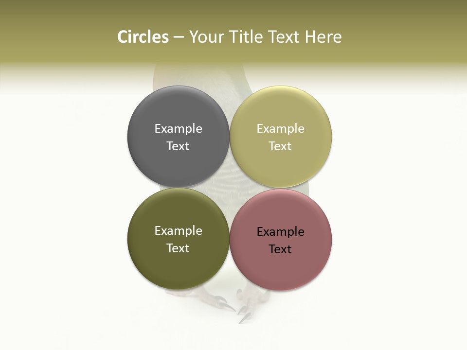 Animal Bird Green PowerPoint Template