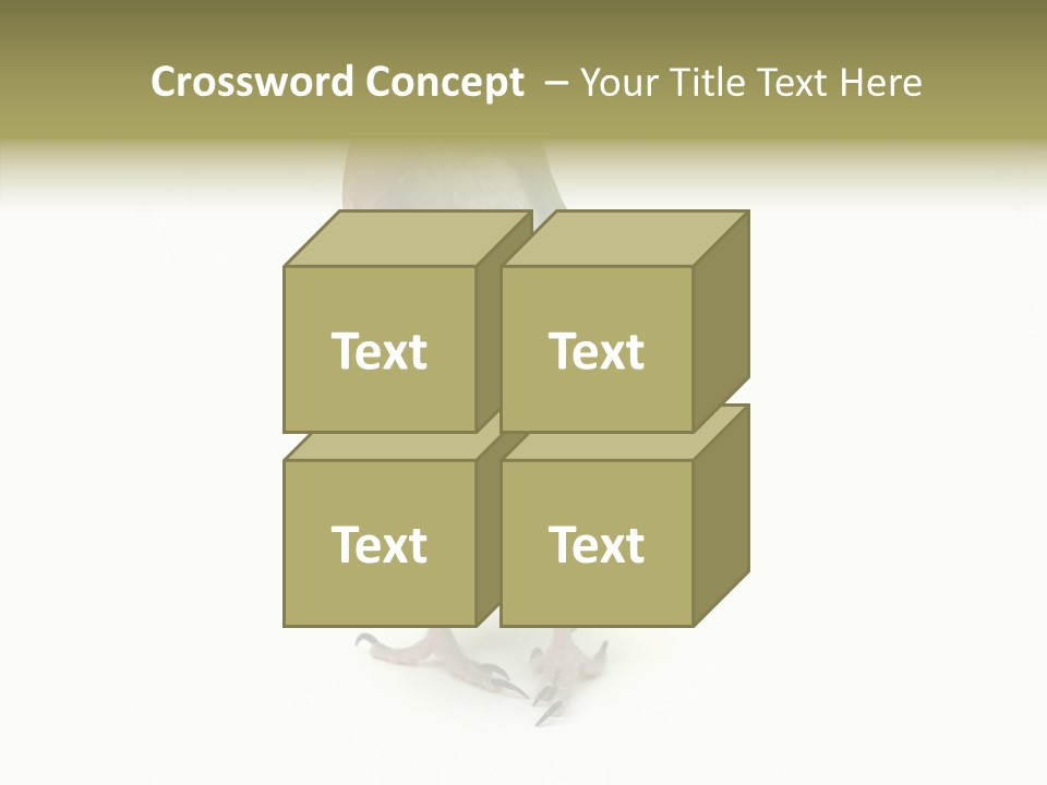 Animal Bird Green PowerPoint Template