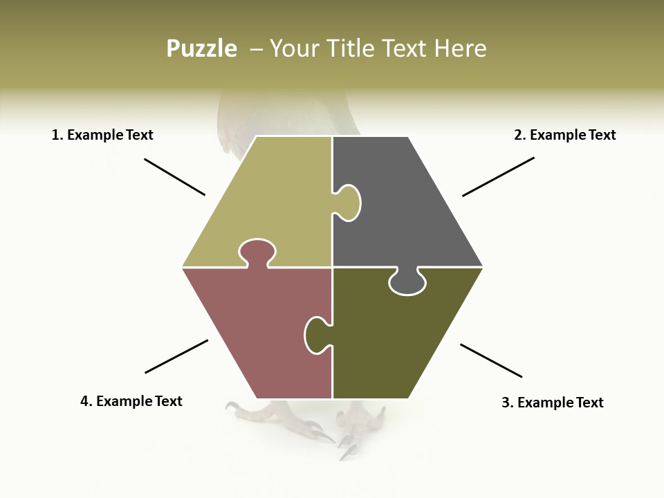 Animal Bird Green PowerPoint Template