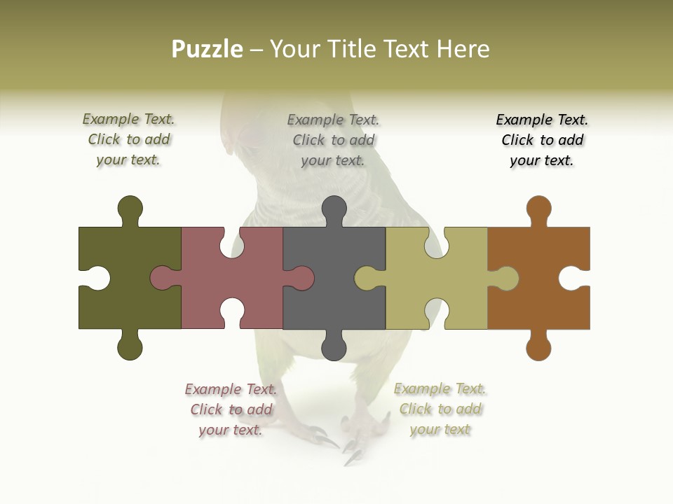 Animal Bird Green PowerPoint Template