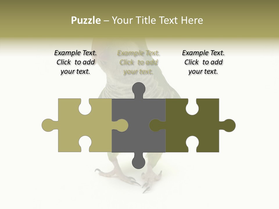 Animal Bird Green PowerPoint Template