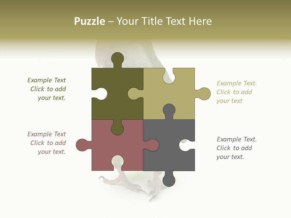 Animal Bird Green PowerPoint Template