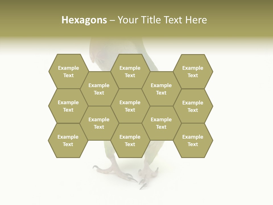 Animal Bird Green PowerPoint Template