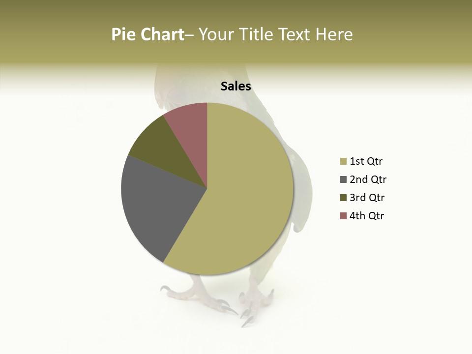 Animal Bird Green PowerPoint Template