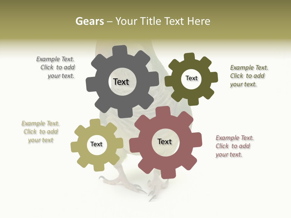 Animal Bird Green PowerPoint Template