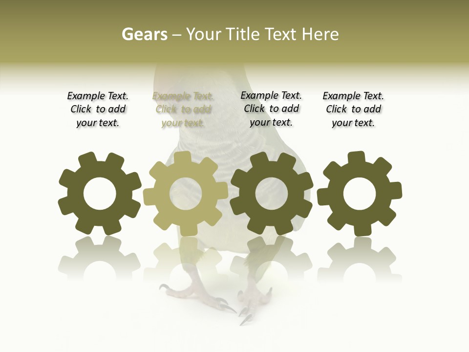 Animal Bird Green PowerPoint Template