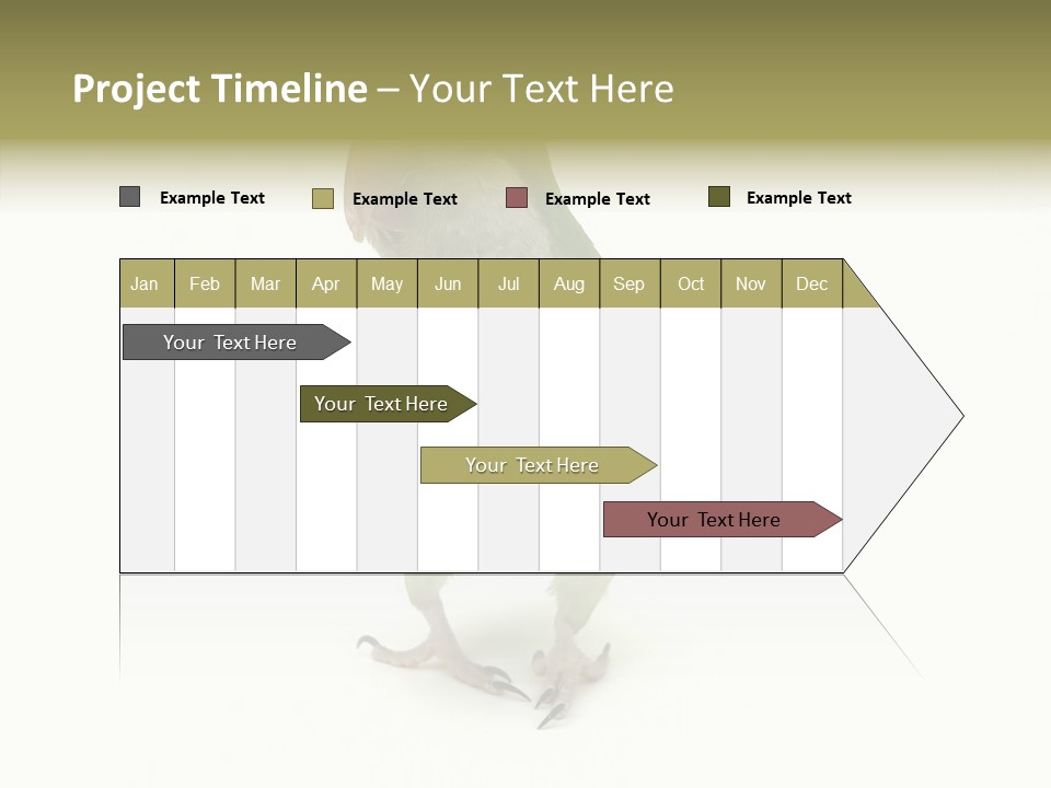 Animal Bird Green PowerPoint Template