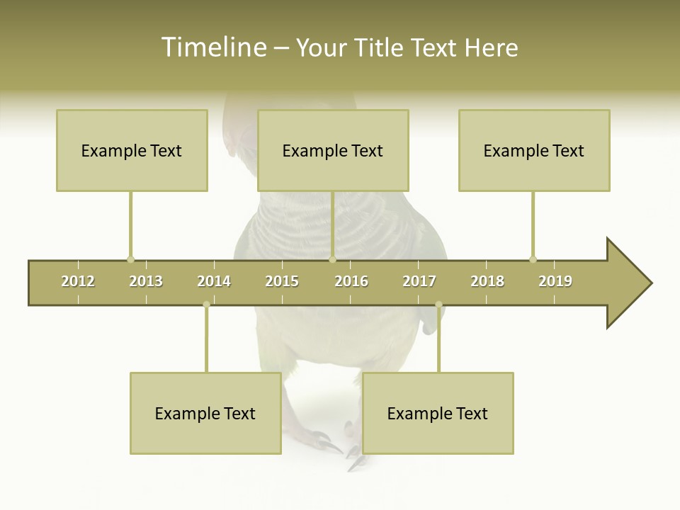 Animal Bird Green PowerPoint Template