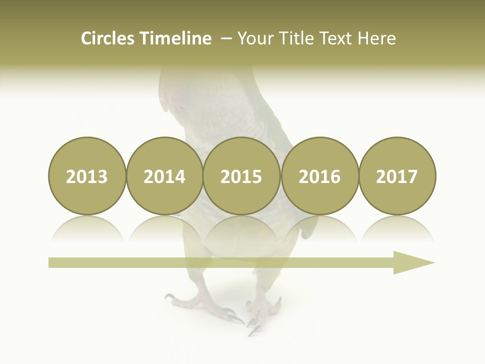 Animal Bird Green PowerPoint Template