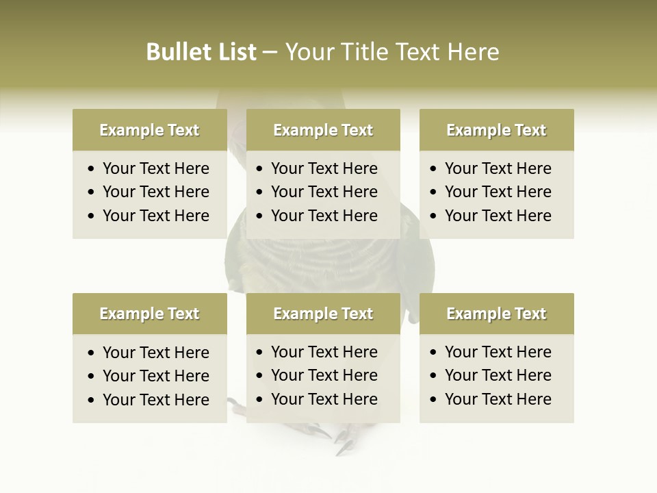 Animal Bird Green PowerPoint Template