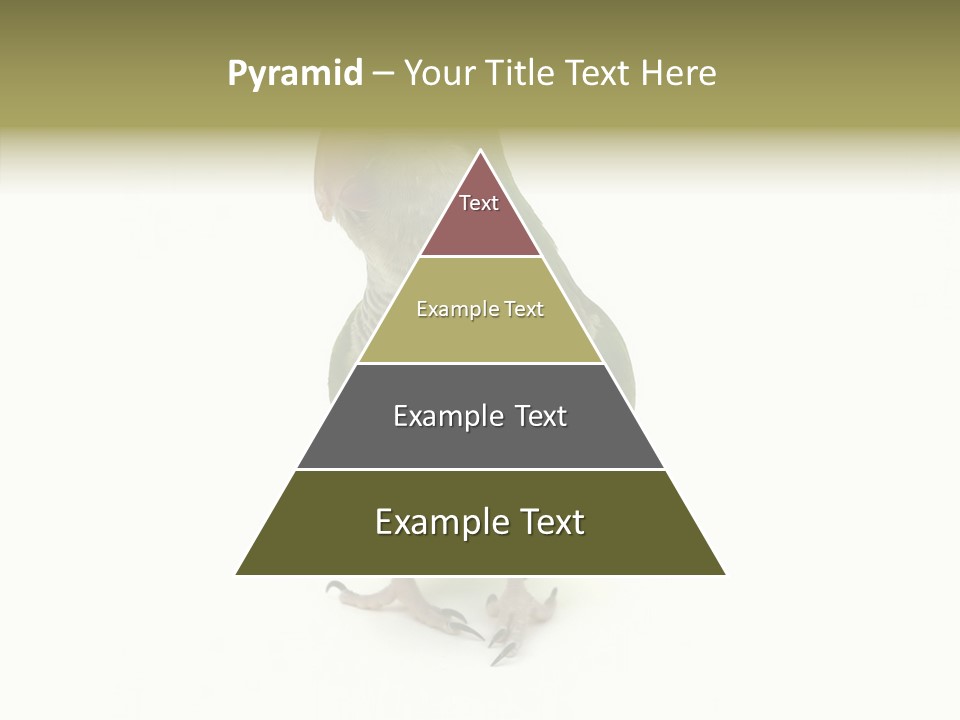 Animal Bird Green PowerPoint Template