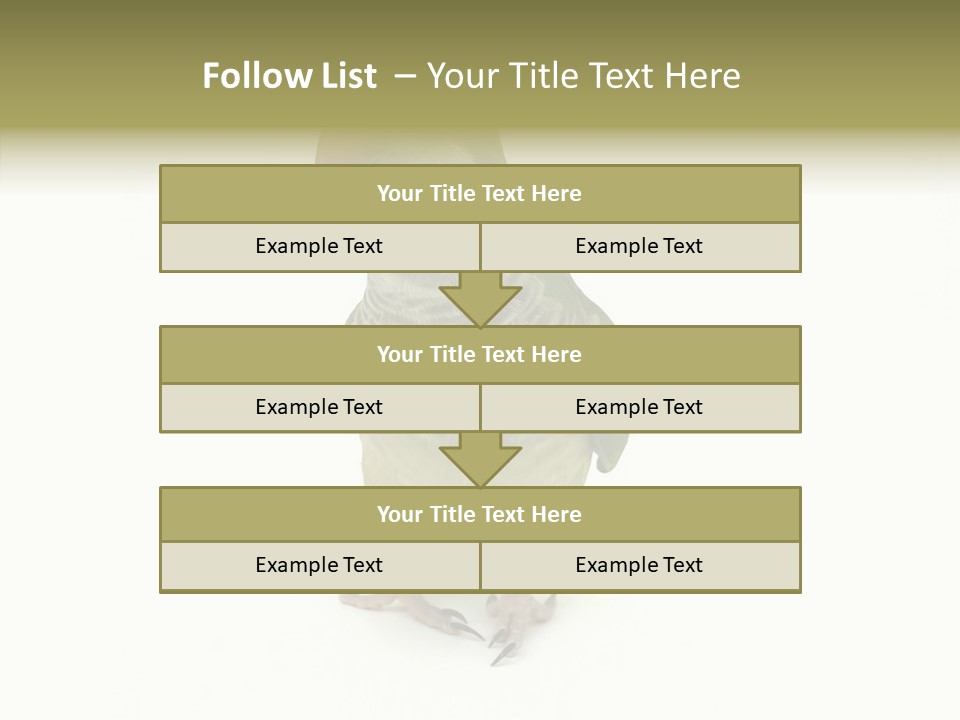 Animal Bird Green PowerPoint Template