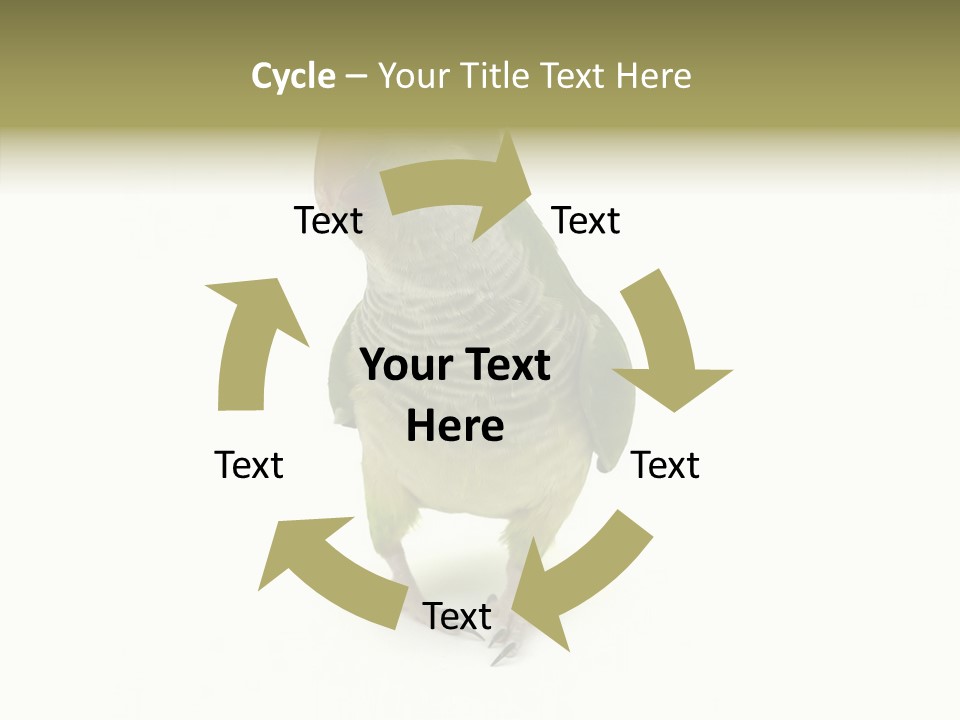 Animal Bird Green PowerPoint Template