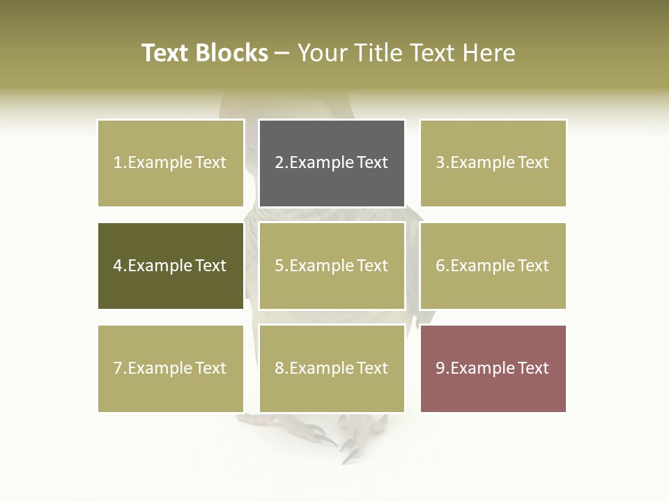 Animal Bird Green PowerPoint Template