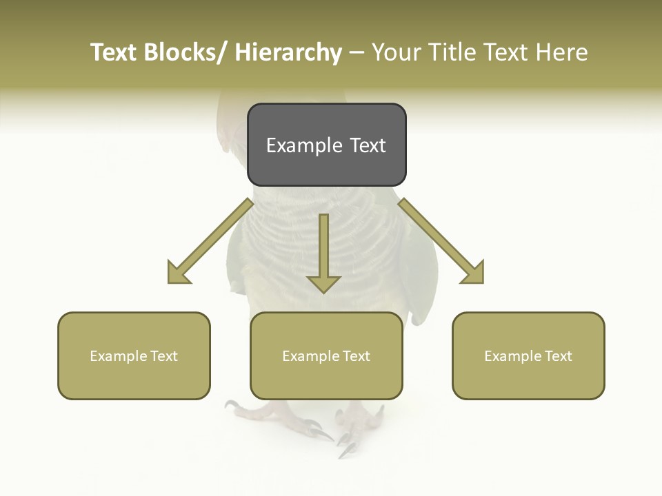 Animal Bird Green PowerPoint Template
