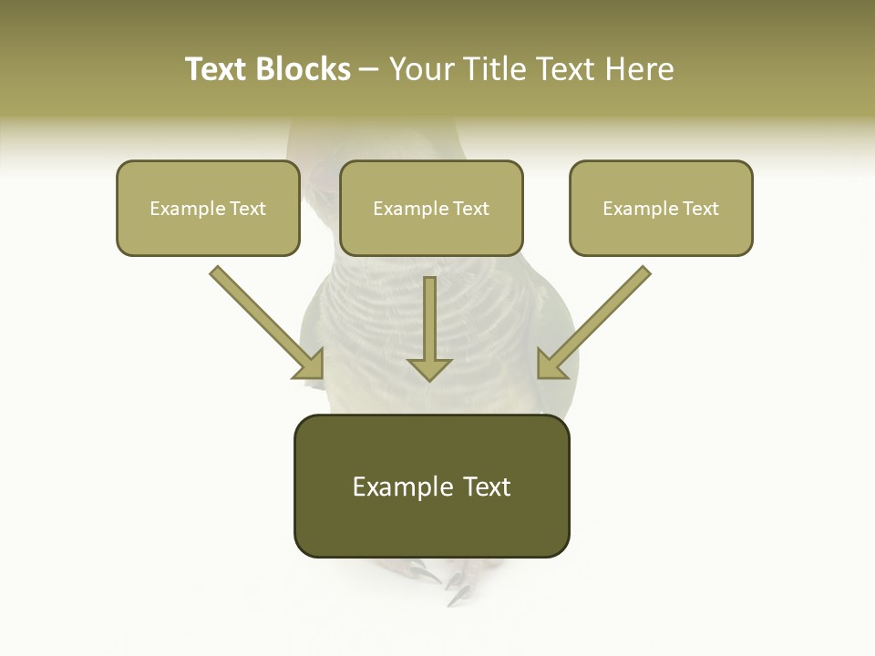 Animal Bird Green PowerPoint Template