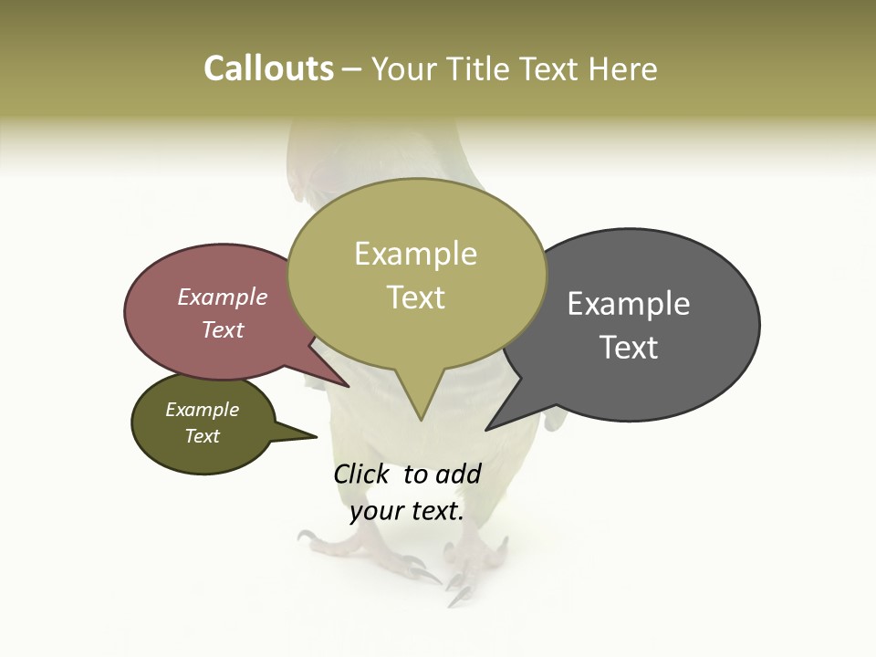 Animal Bird Green PowerPoint Template