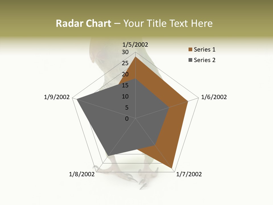 Animal Bird Green PowerPoint Template