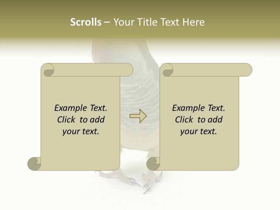 Animal Bird Green PowerPoint Template