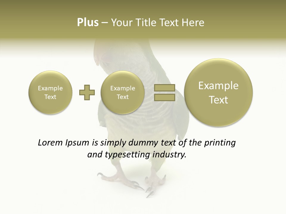 Animal Bird Green PowerPoint Template
