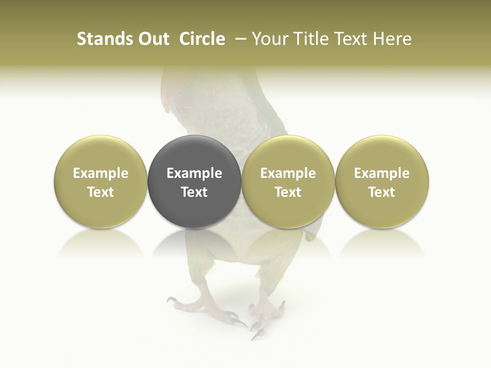 Animal Bird Green PowerPoint Template