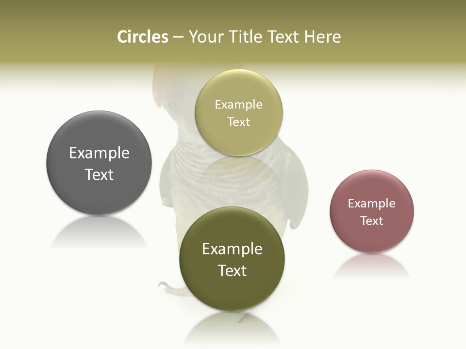 Animal Bird Green PowerPoint Template