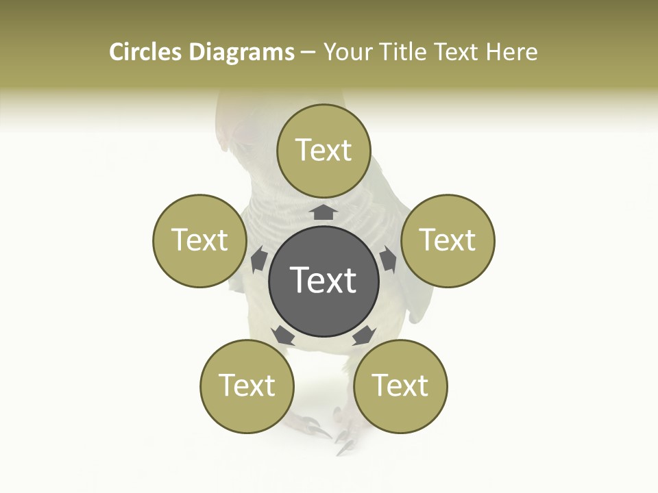 Animal Bird Green PowerPoint Template