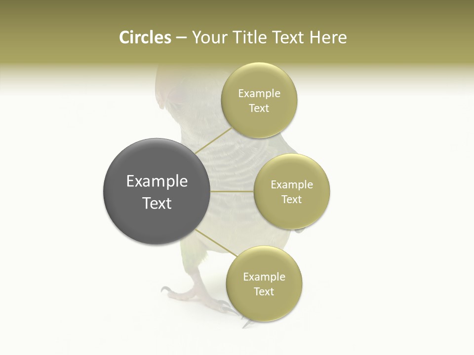 Animal Bird Green PowerPoint Template