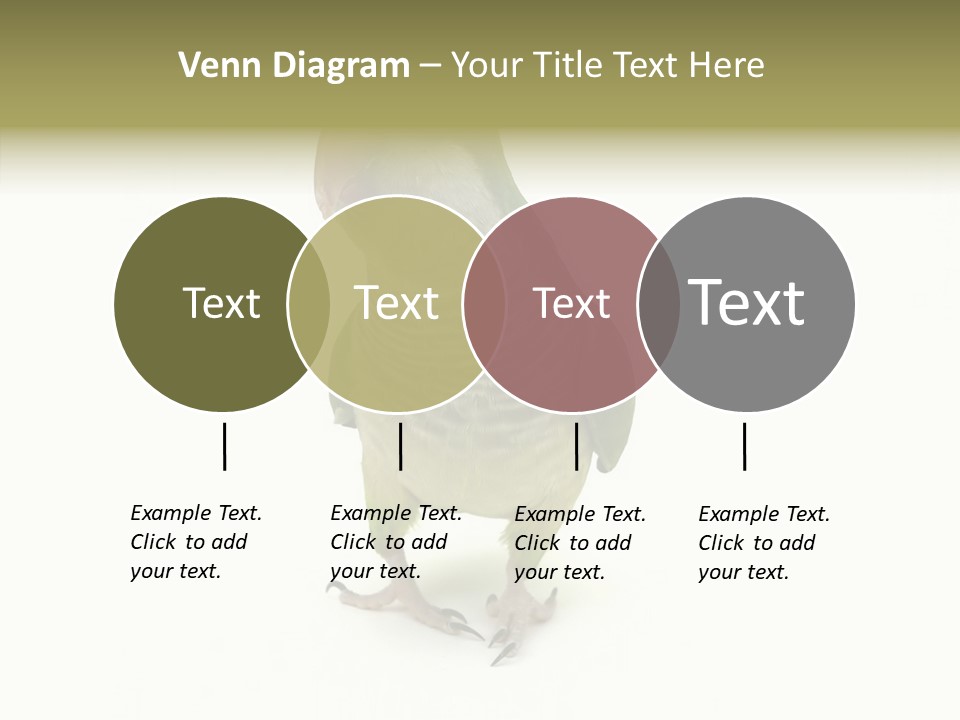 Animal Bird Green PowerPoint Template