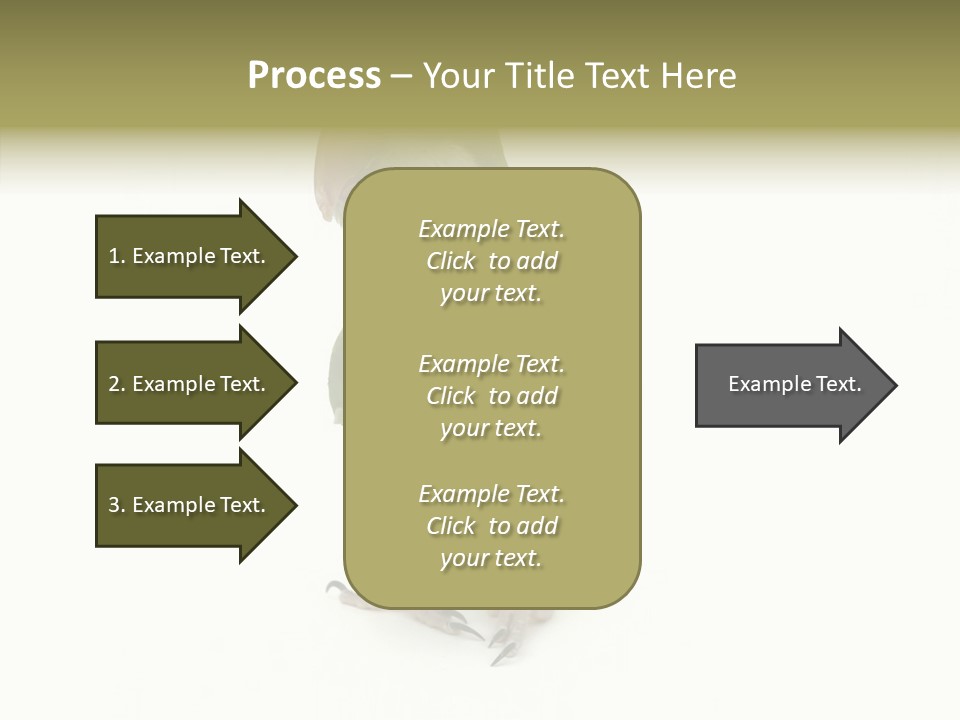 Animal Bird Green PowerPoint Template
