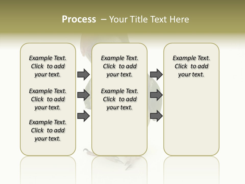 Animal Bird Green PowerPoint Template