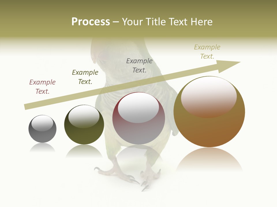 Animal Bird Green PowerPoint Template