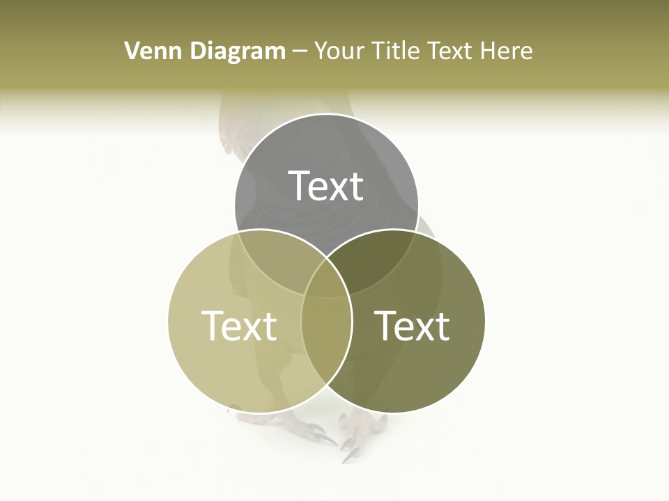 Animal Bird Green PowerPoint Template