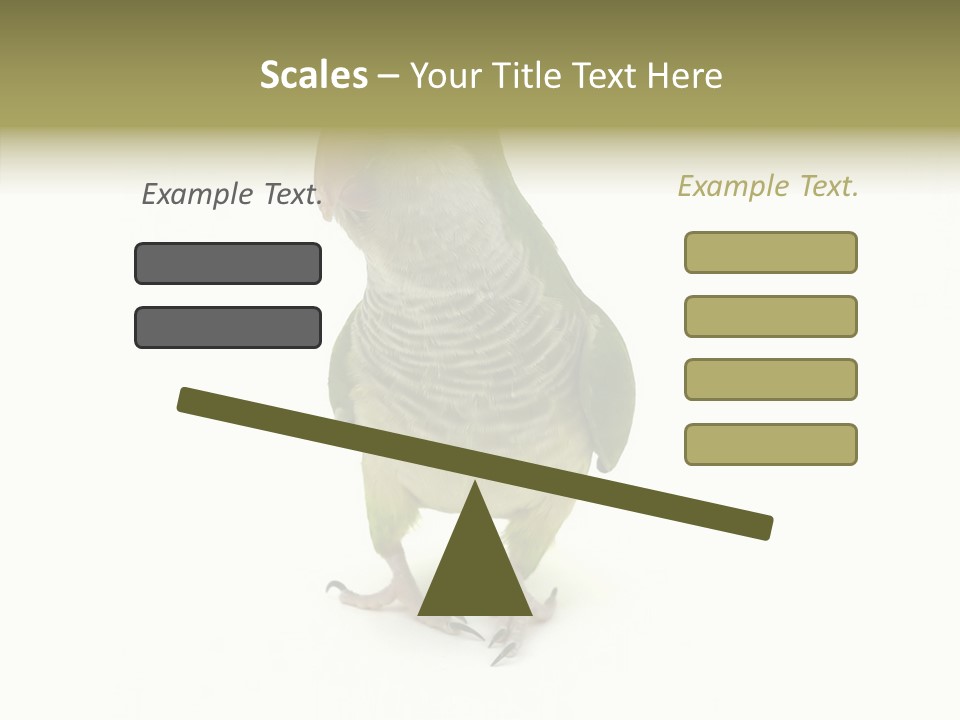 Animal Bird Green PowerPoint Template
