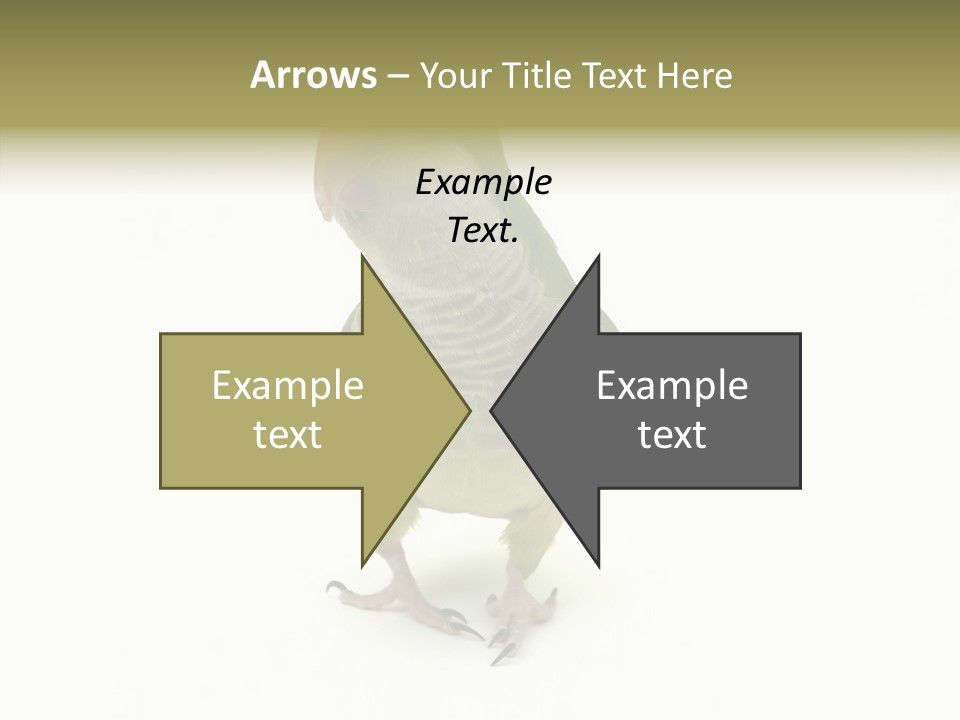 Animal Bird Green PowerPoint Template