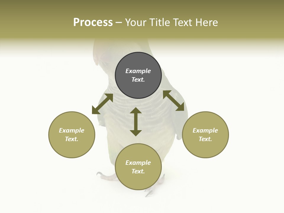Animal Bird Green PowerPoint Template